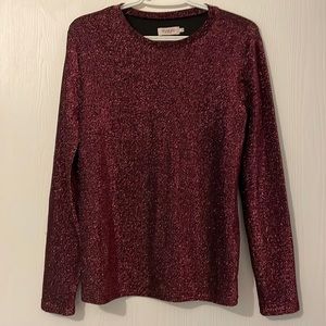 Sparkly shimmery stretch long sleeve top